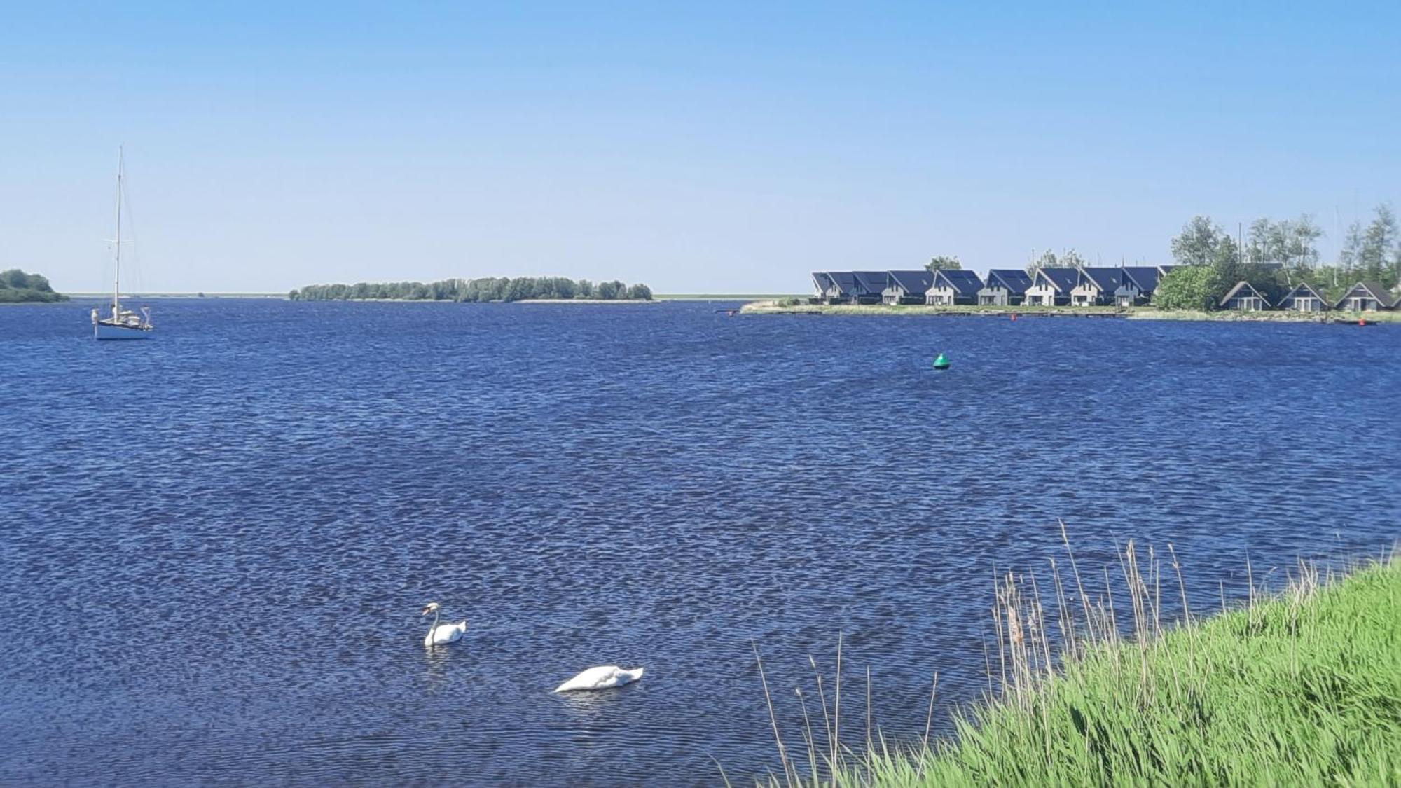 Chalet Trigano 1-6 Pers- 3 Slaapk- 2 Badk- Berging- Inchecken Al Vanaf 13 Uur Lauwersoog Buitenkant foto