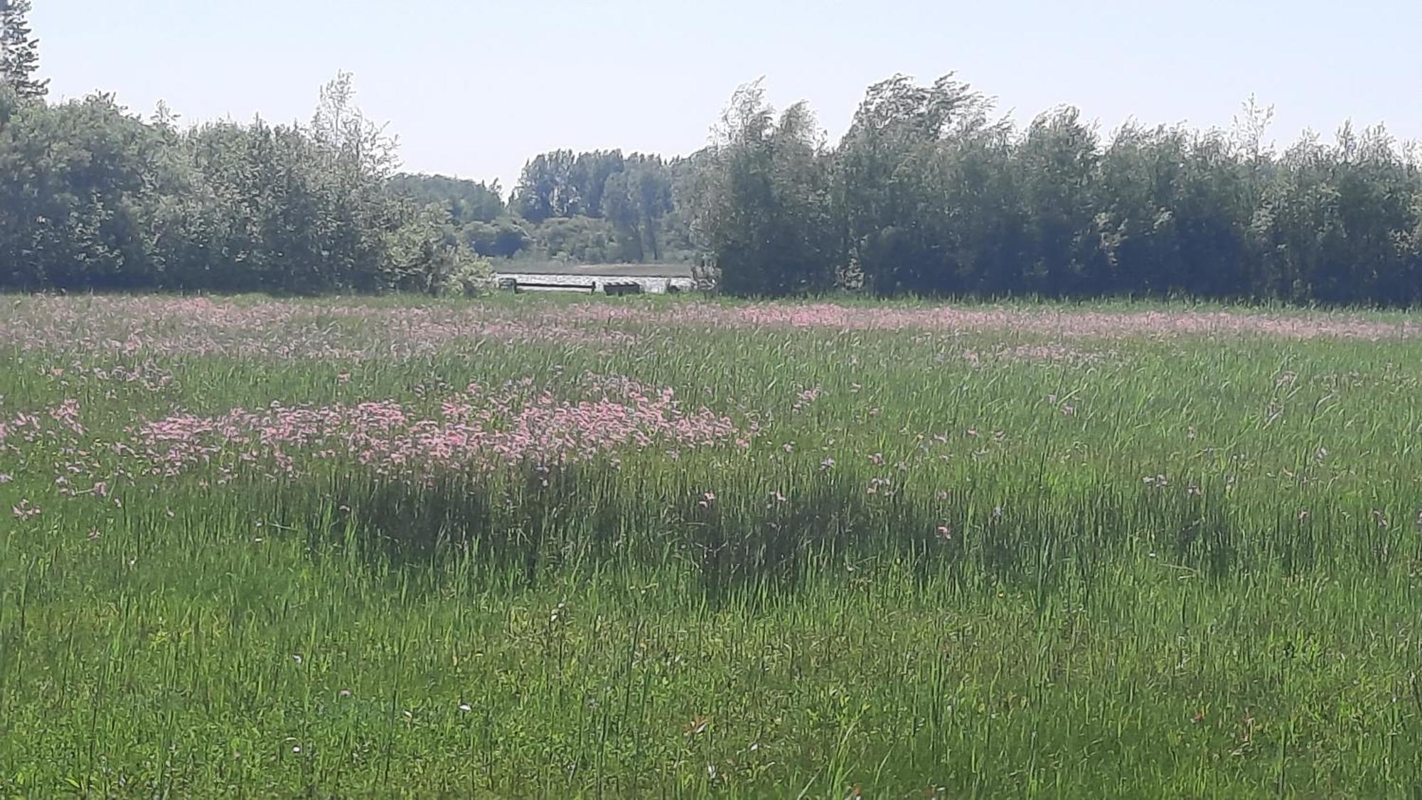 Chalet Trigano 1-6 Pers- 3 Slaapk- 2 Badk- Berging- Inchecken Al Vanaf 13 Uur Lauwersoog Buitenkant foto