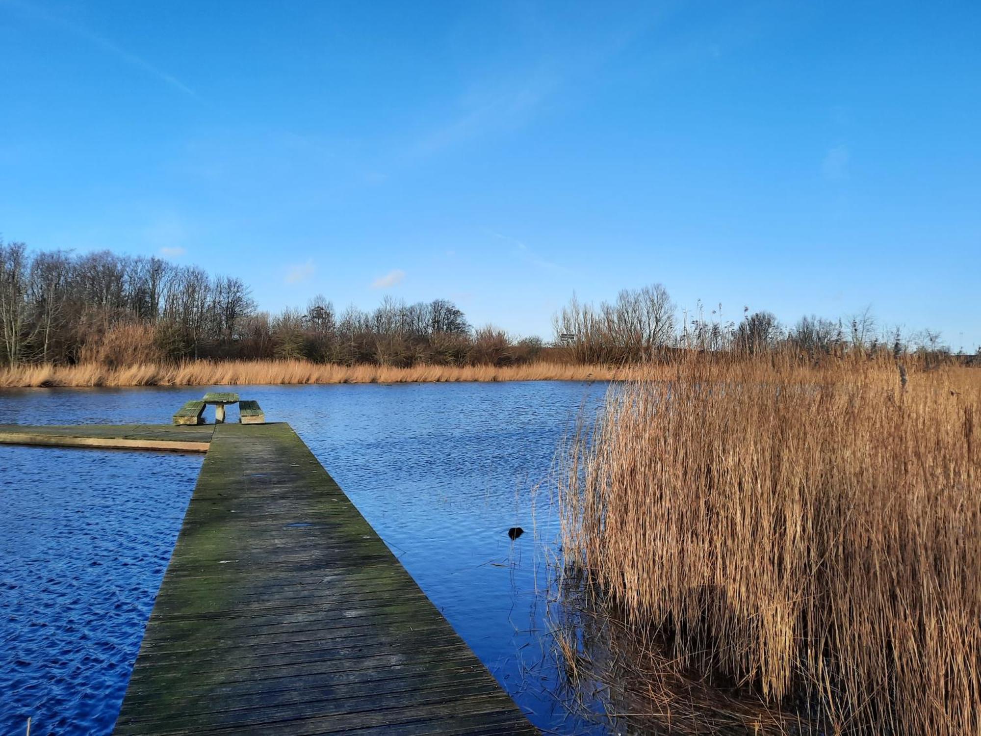Chalet Trigano 1-6 Pers- 3 Slaapk- 2 Badk- Berging- Inchecken Al Vanaf 13 Uur Lauwersoog Buitenkant foto